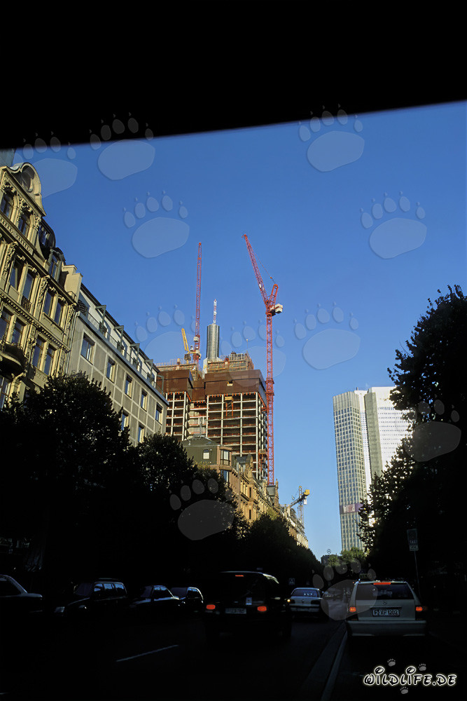 Construcción del rascacielos doble Gallileo en Frankfurt am Main, Alemania