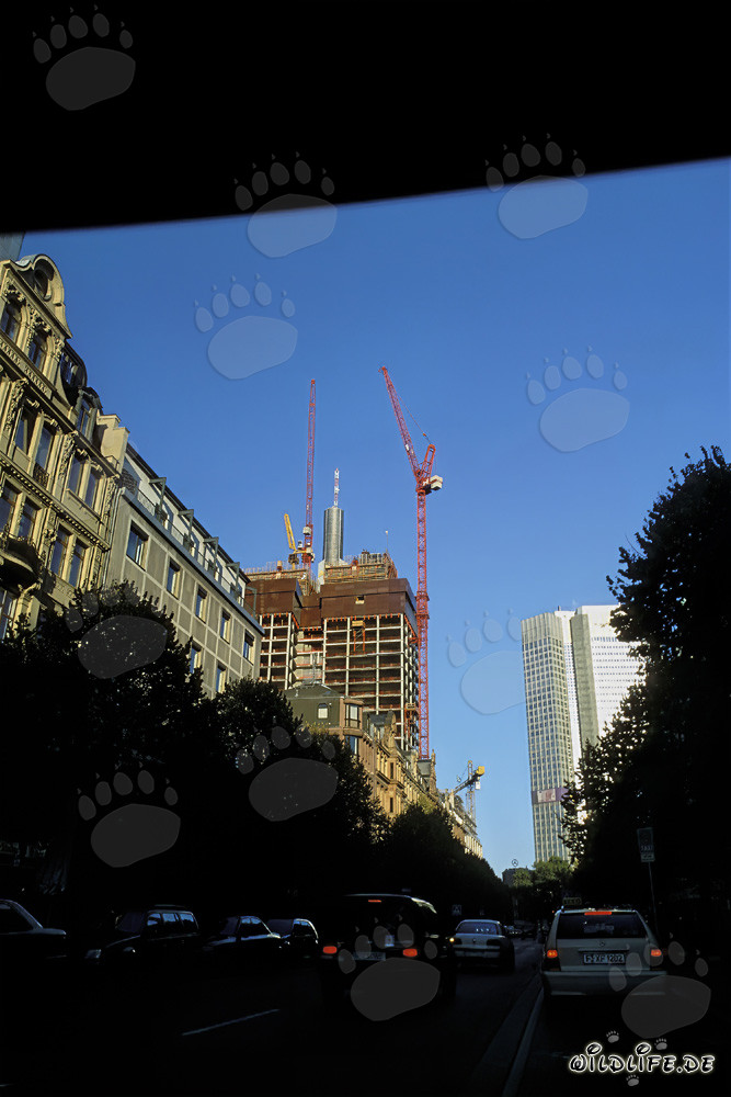 Construction of the Gallileo Twin Skyscrapers in Frankfurt am Main, Germany