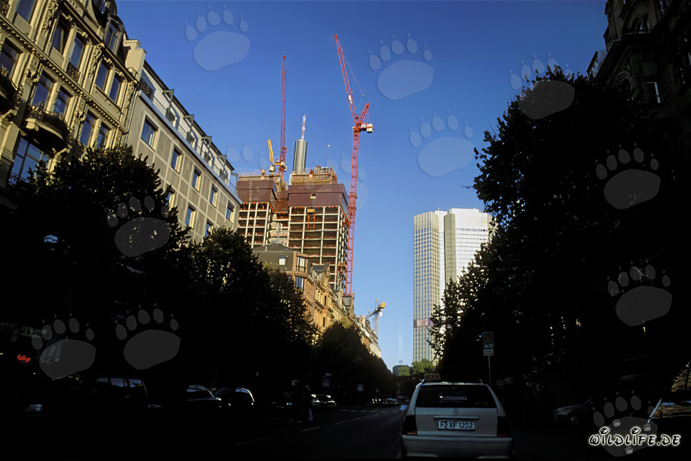Faszinierendes Gallileo Baustelle in Frankfurt am Main, Deutschland