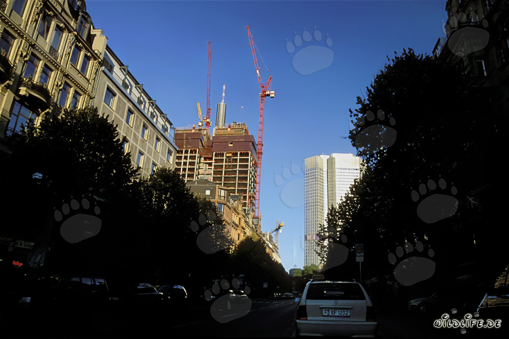 Fascinating Gallileo Construction Site in Frankfurt am Main, Germany