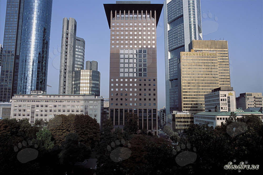 Impressionnante skyline de Francfort avec la tour Millenium