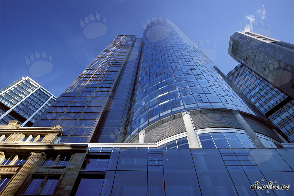 Frankfurt's Maintower at Sunset – Architectural Masterpiece in Hessen