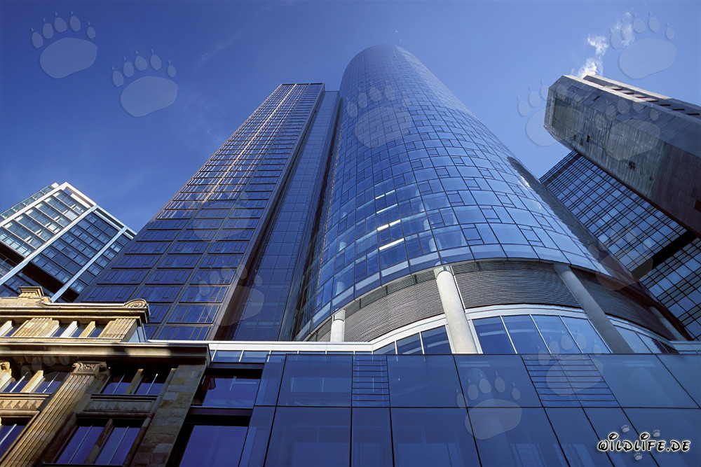 Maintower de Francfort au coucher du soleil - chef-d'œuvre architectural en Hesse