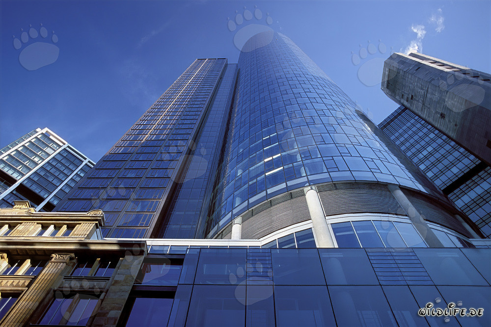 Frankfurter Maintower bei Sonnenuntergang – architektonisches Meisterwerk in Hessen
