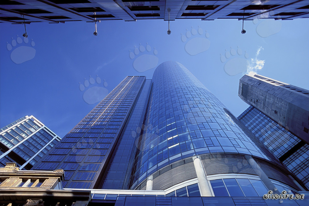 Maintower de Francfort au coucher du soleil