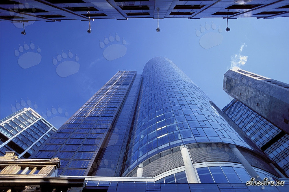 Torre Maintower de Fráncfort al atardecer