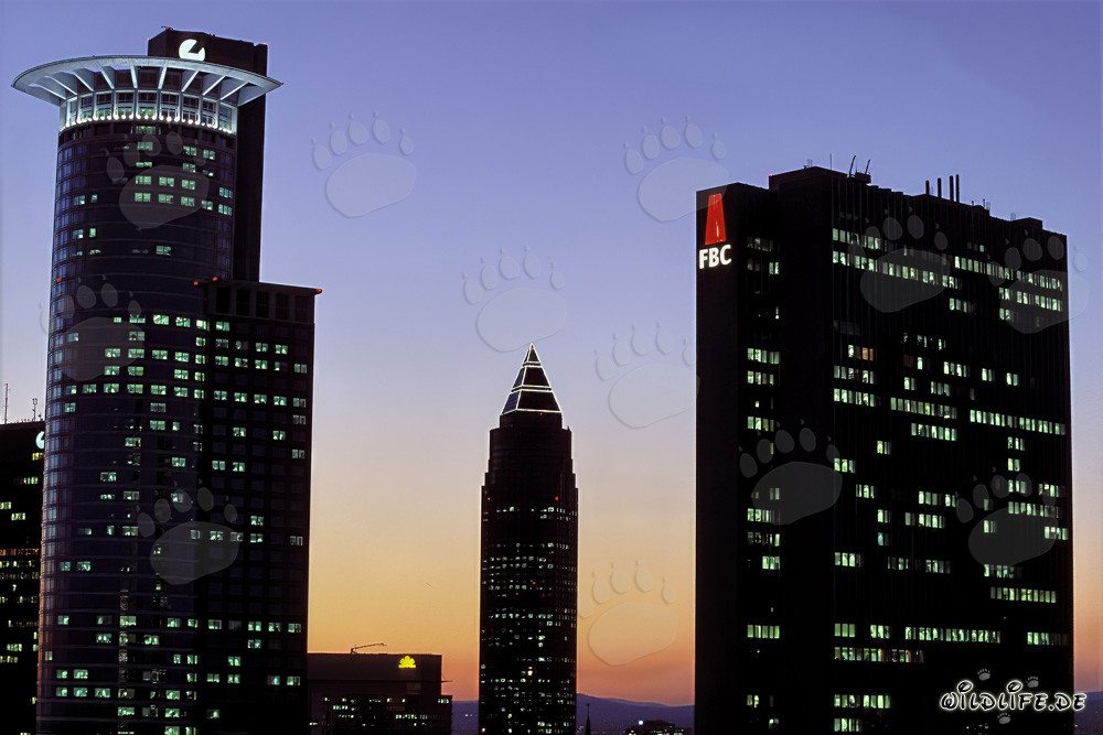 Fascinante skyline de Francfort de nuit