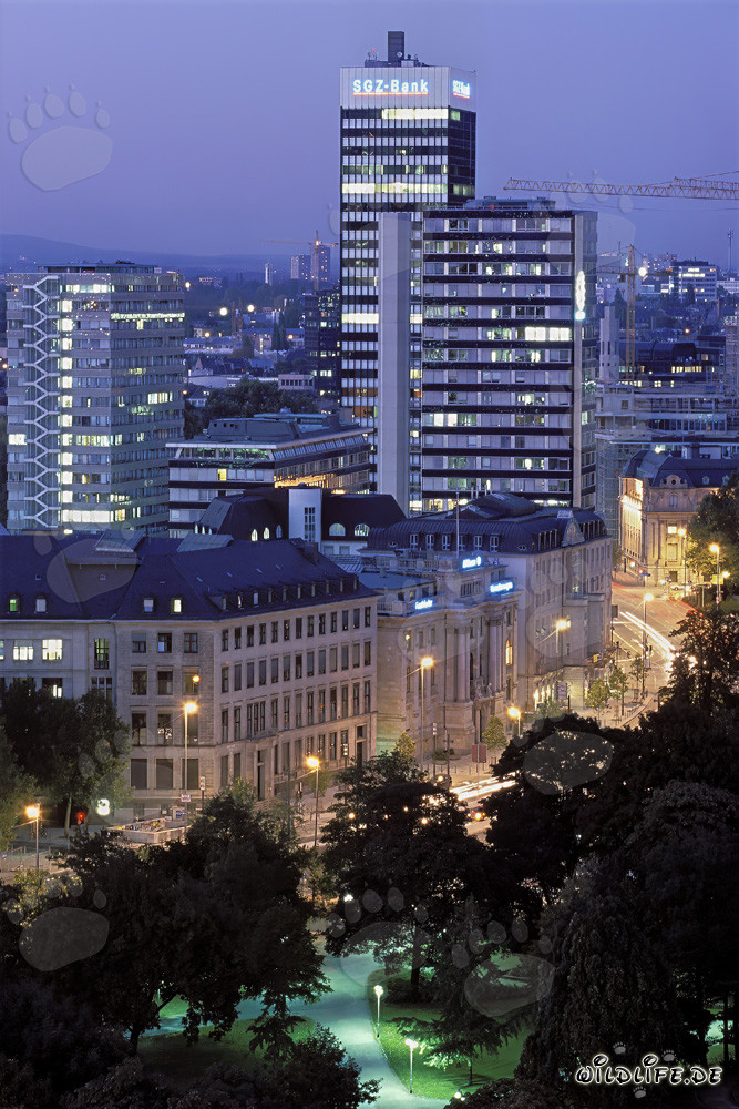 Francfort de nuit - impressionnante skyline de la métropole financière