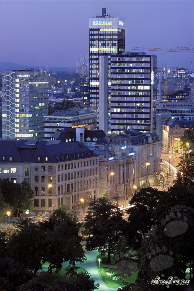Frankfurt at night - impressive skyline of the financial metropolis