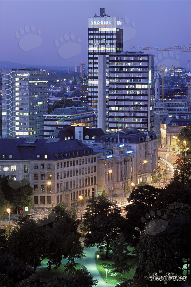 Frankfurt bei Nacht - eindrucksvolle Skyline der Finanzmetropole