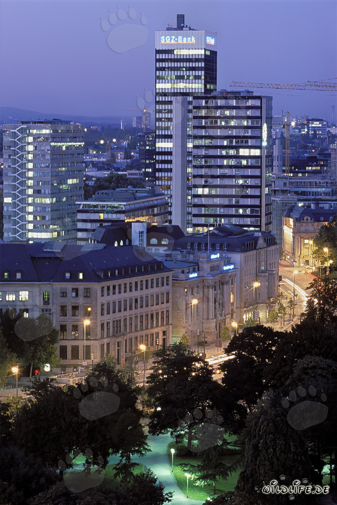 Frankfurt de noche - impresionante skyline de la metrópoli financiera