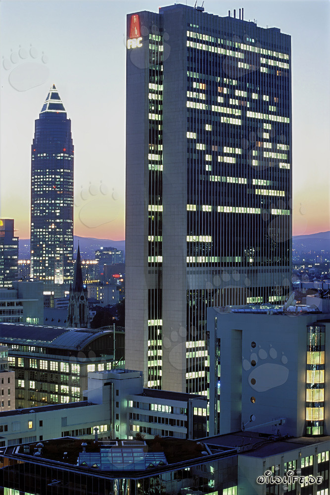 La fascinante skyline de Francfort de nuit