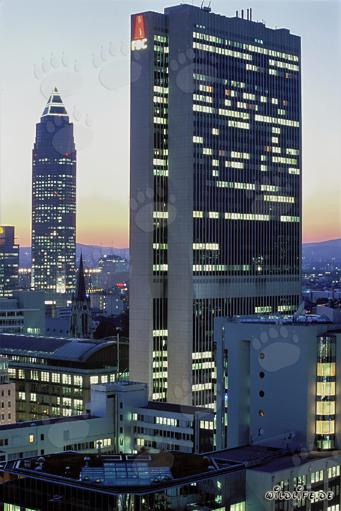 Faszinierende Frankfurter Skyline bei Nacht