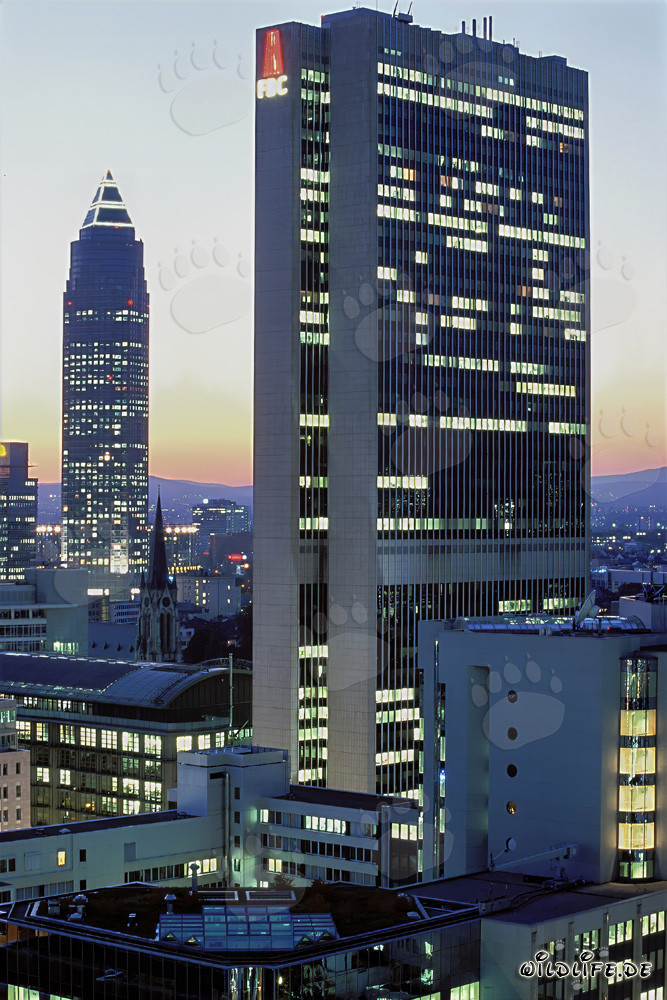 Fascinante skyline de Frankfurt de noche