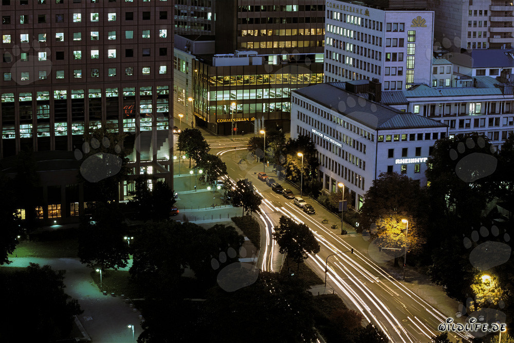 Vues de Francfort de nuit