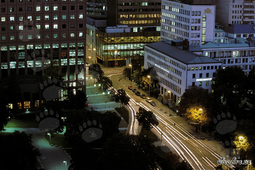 Impressionen von Frankfurt bei Nacht