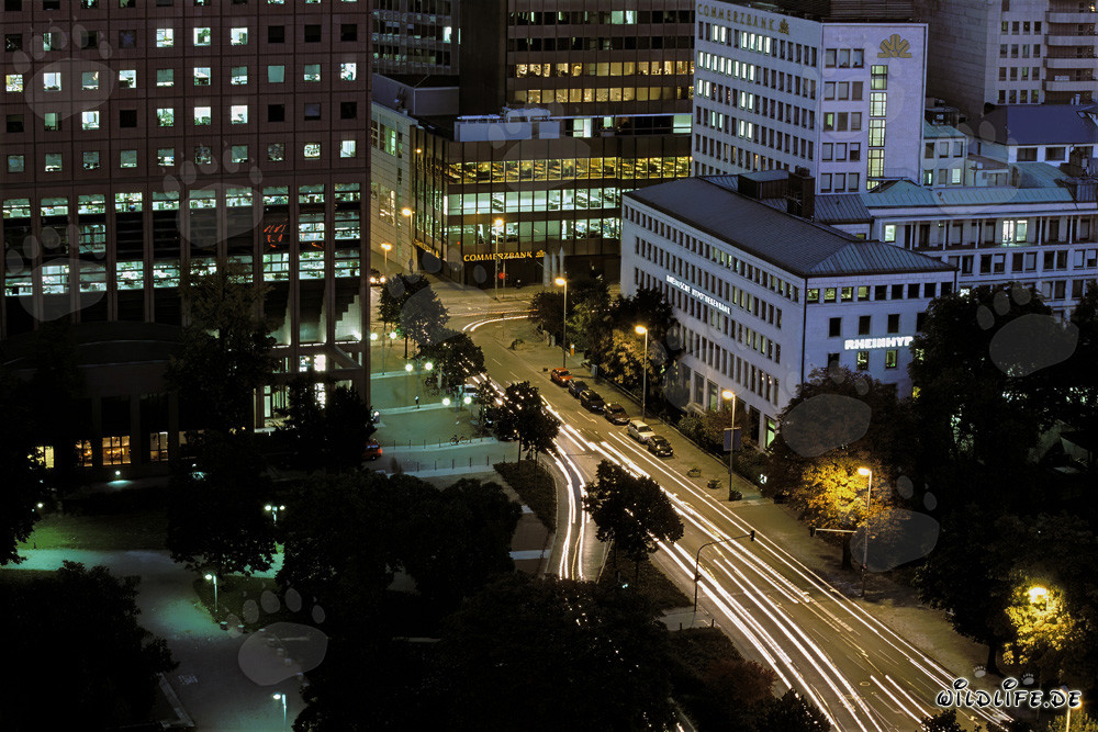 Impresiones de Frankfurt de noche