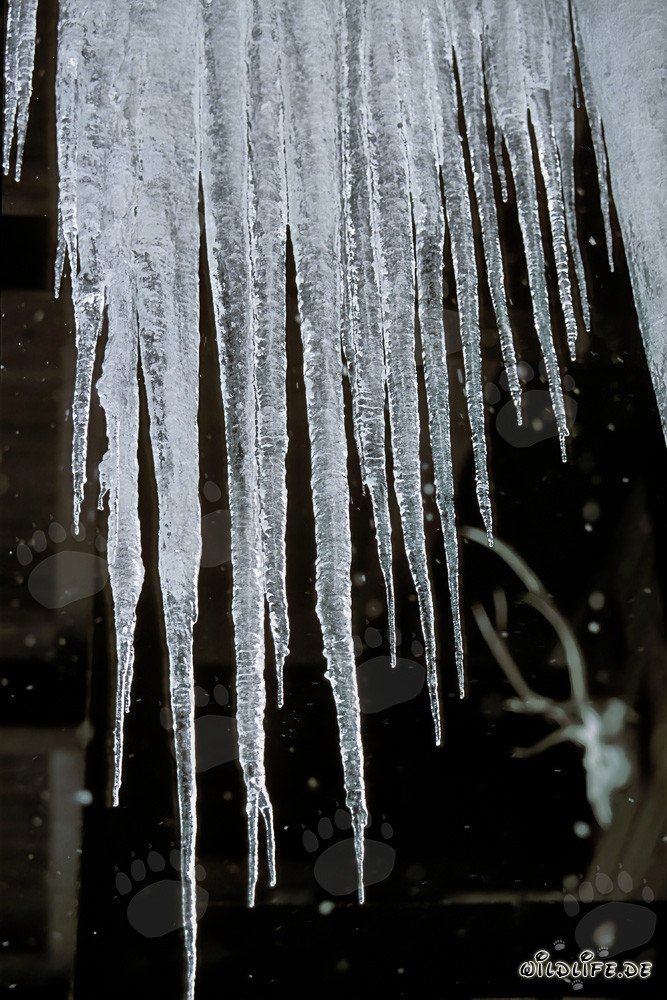 Schöne Eiszapfen hängen von einem Dach in Mittenwald, Bayern