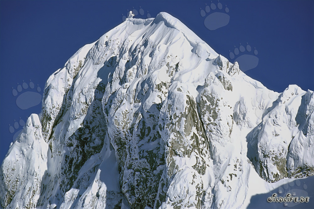 Cima occidentale dell'Altipiano di Karwendelspitze a Mittenwald, Baviera, Germania