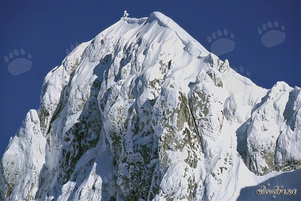 Pico de la cordillera occidental de Karwendelspitze en Mittenwald, Baviera, Alemania