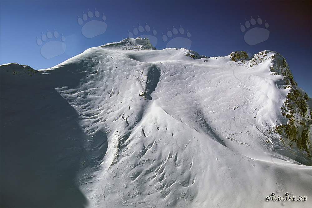 Maestoso Picco dell'ovest del Karwendel nel paesaggio invernale