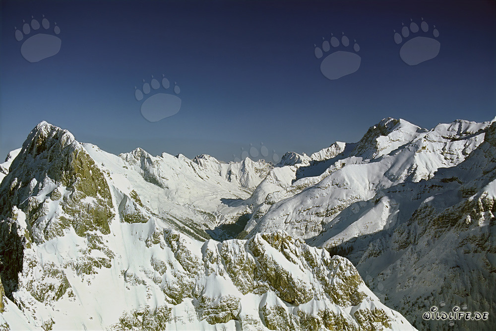 Winter landscape in the picturesque Karwendel Mountains