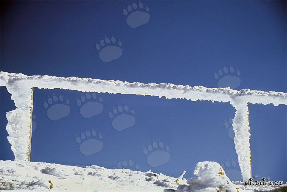 Ice-covered railing at the Karwendelbahn mountain station