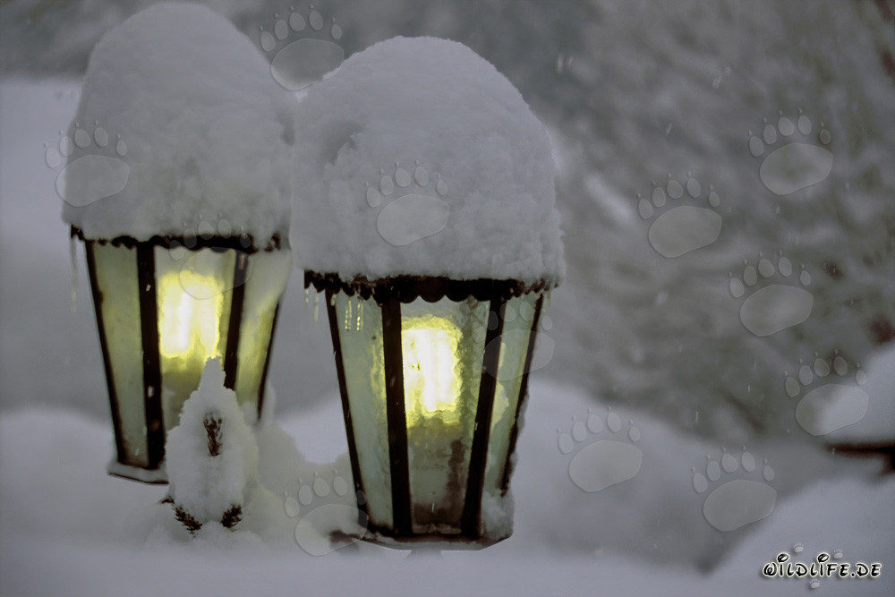 Ambiente invernal: Lámparas nevadas en Mittenwald, Baviera