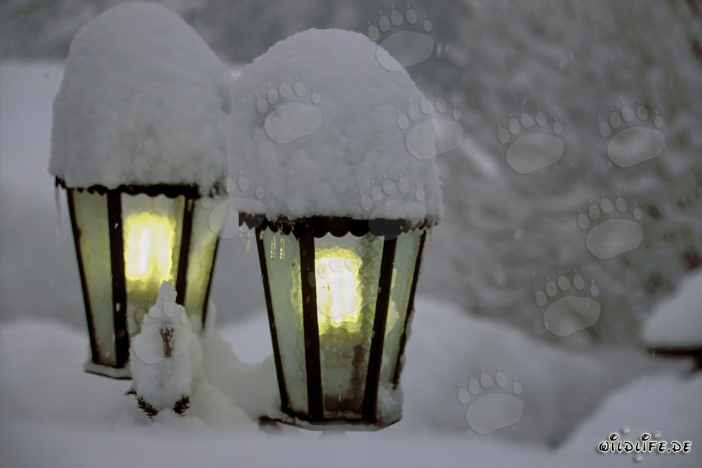 Winter Atmosphere: Snow-Covered Lamps in Mittenwald, Bavaria