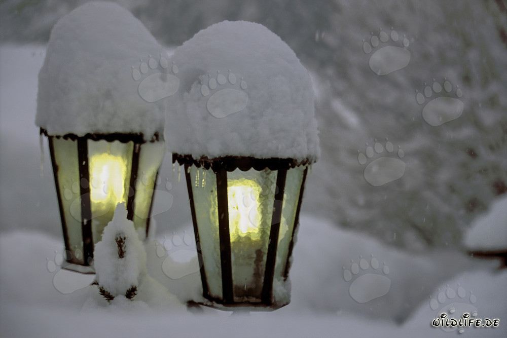 Winterliche Stimmung: Verschneite Lampen in Mittenwald, Bayern