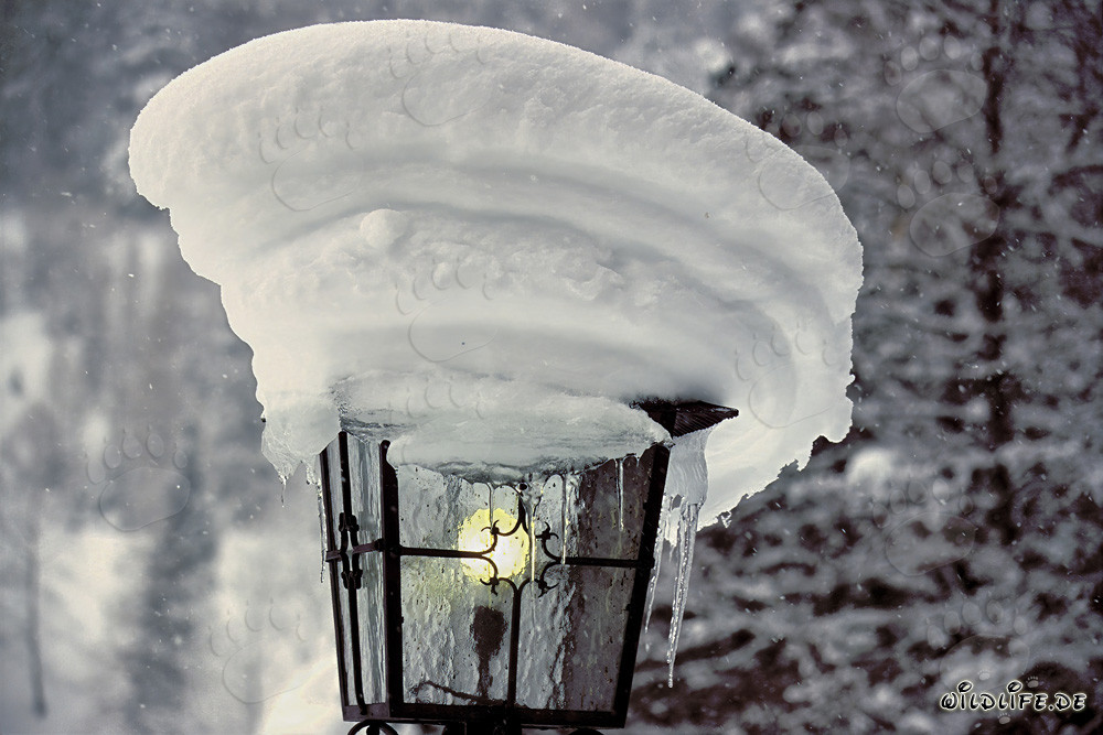 Romantische Winterstimmung: Verschneite Lampe in Mittenwald