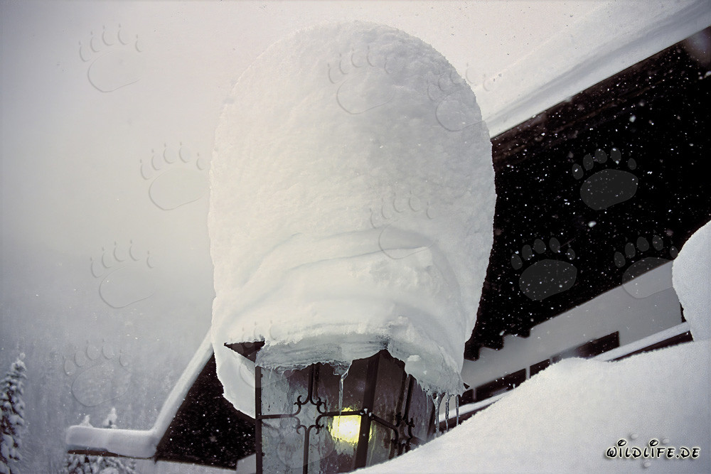 Atmosfera invernale: Lanterna sognante nella neve