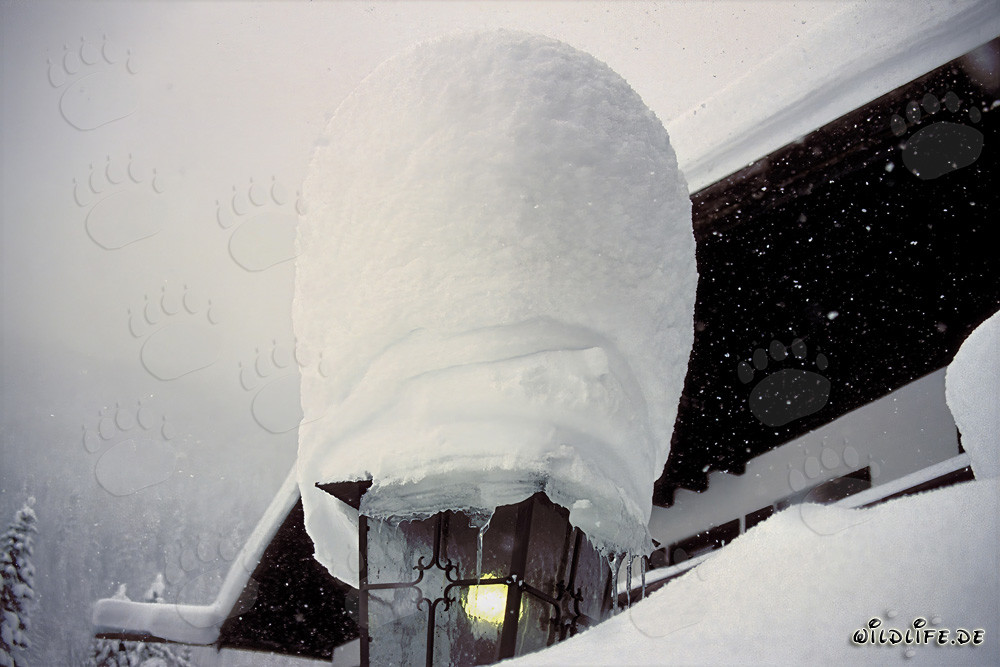 Winter Atmosphere: Dreamy Lantern in the Snow