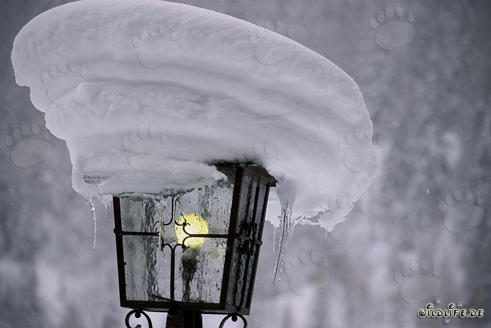 Impresión invernal de una farola nevada en Baviera