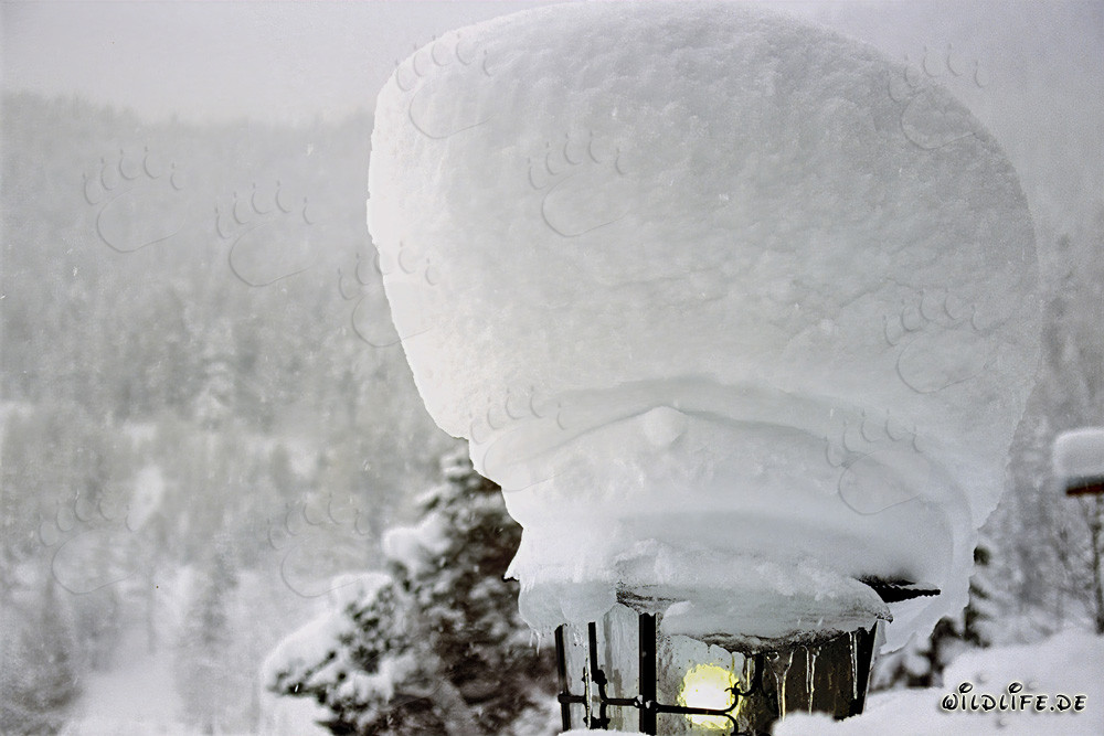 Paesaggio invernale con lampione innevato