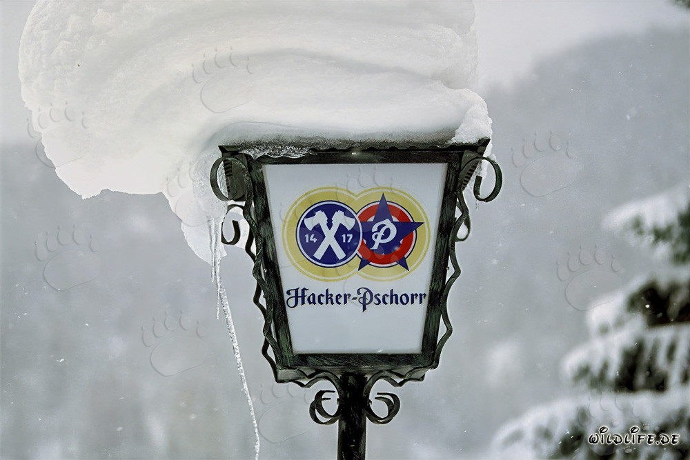 Paesaggio invernale con lampada innevata in Baviera