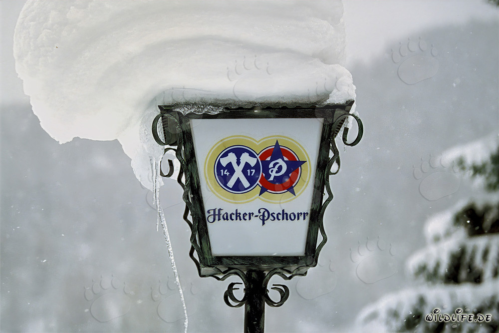 Winter landscape with snow-covered lamp in Bavaria