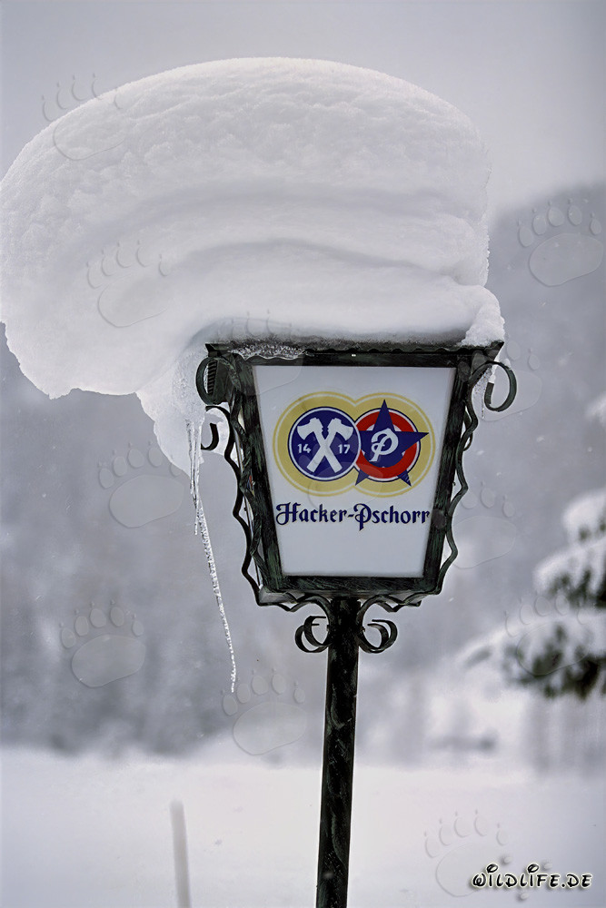 Idyllische Winterlandschaft mit verschneiter Lampe in Mittenwald, Bayern