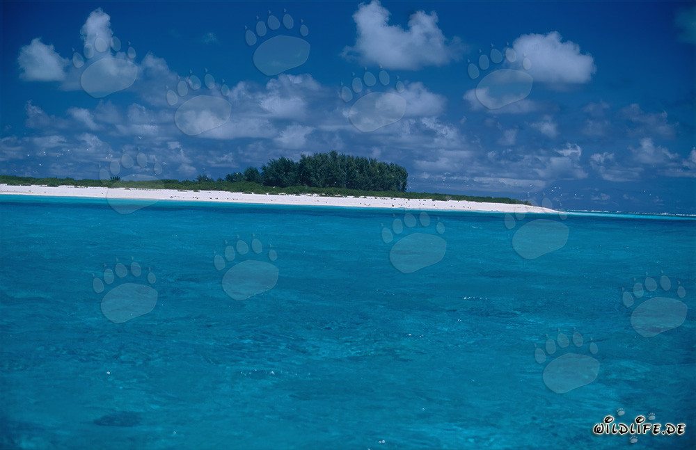 Isola del Pacifico del Sud con laguna mozzafiato e spiaggia di sabbia bianca