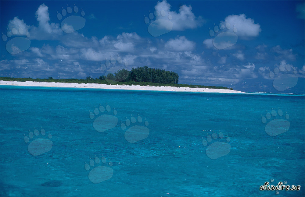 South Sea island with stunning lagoon and white sandy beach