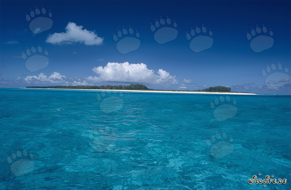 Clouds over a Midway Island