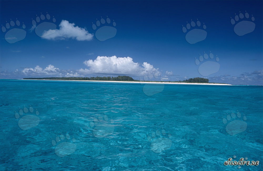 Nuvole su un'isola di Midway