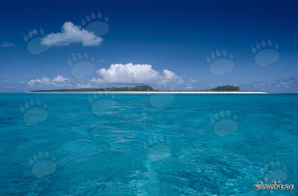 Isla paradisíaca del Pacífico con laguna pintoresca