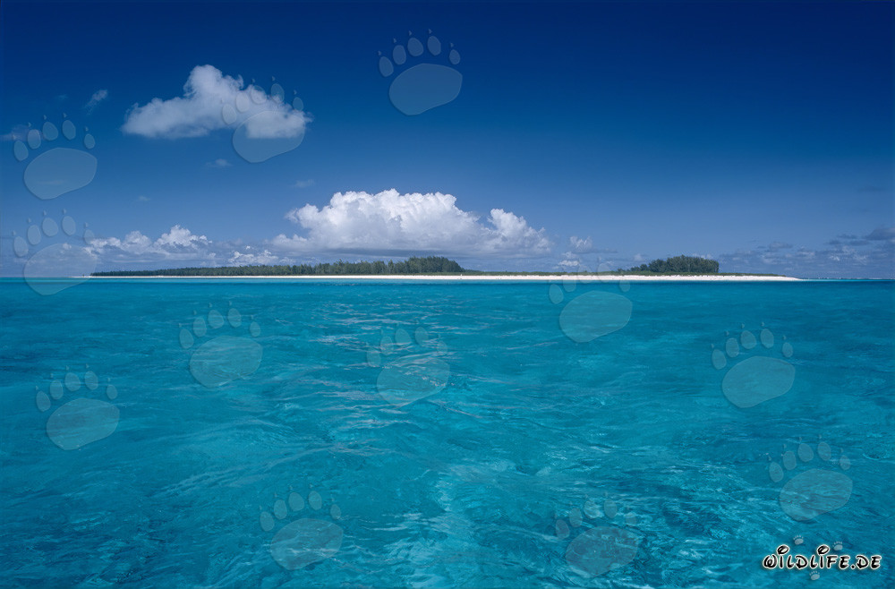 Dreamy South Sea: Island in the Pacific with Scenic Lagoon