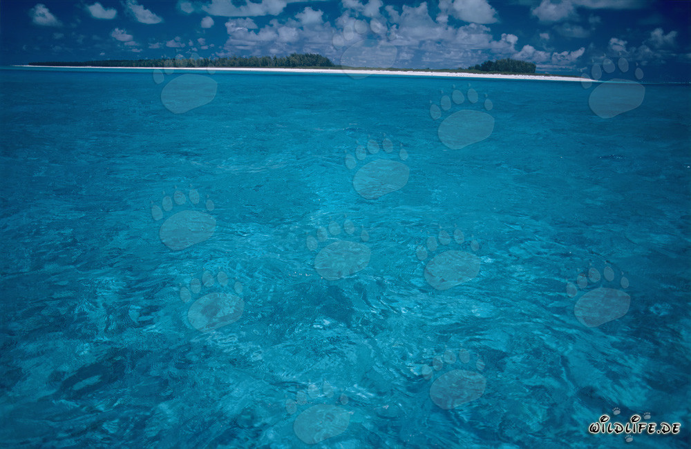 Türkisfarbene Südsee Lagune auf Midway Atoll, Hawaii, USA