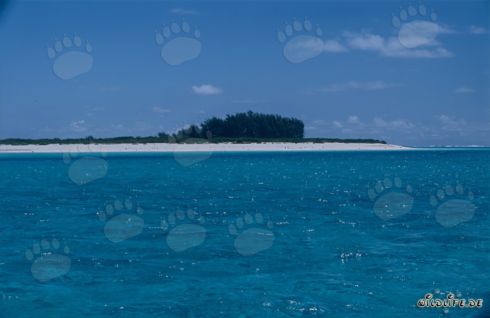 Idilliaca isola del Sud del mare con una spiaggia di sabbia bianca da sogno