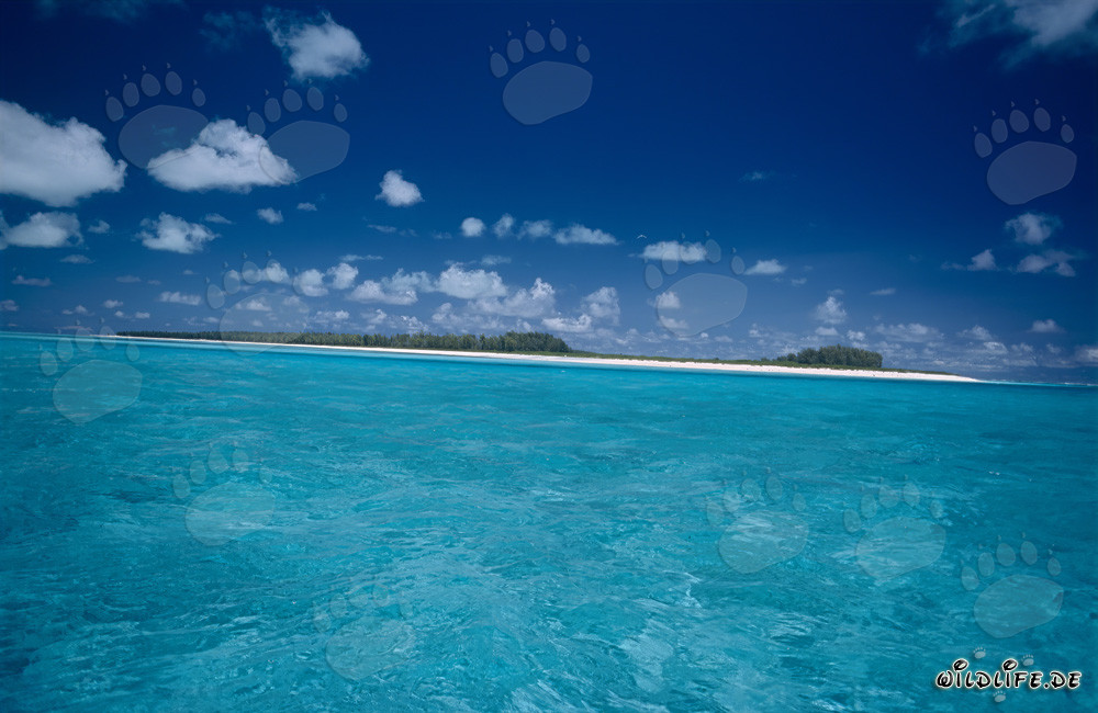 Île tropicale avec une lagune de rêve dans l'océan Pacifique