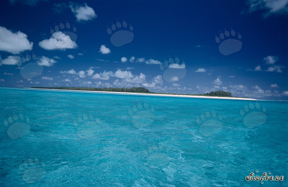 Isla tropical con una laguna de ensueño en el océano Pacífico
