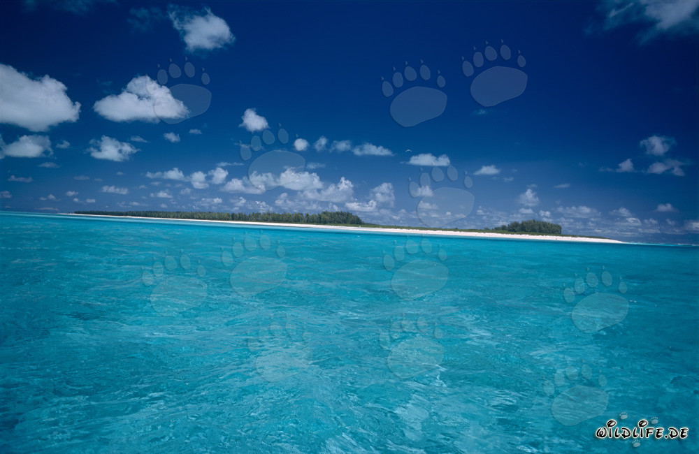 Isola tropicale con una laguna da sogno nell'oceano Pacifico