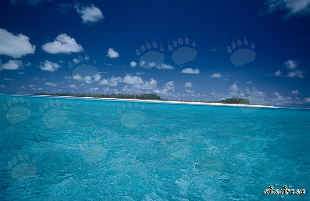 Tropical island with stunning lagoon in the Pacific Ocean